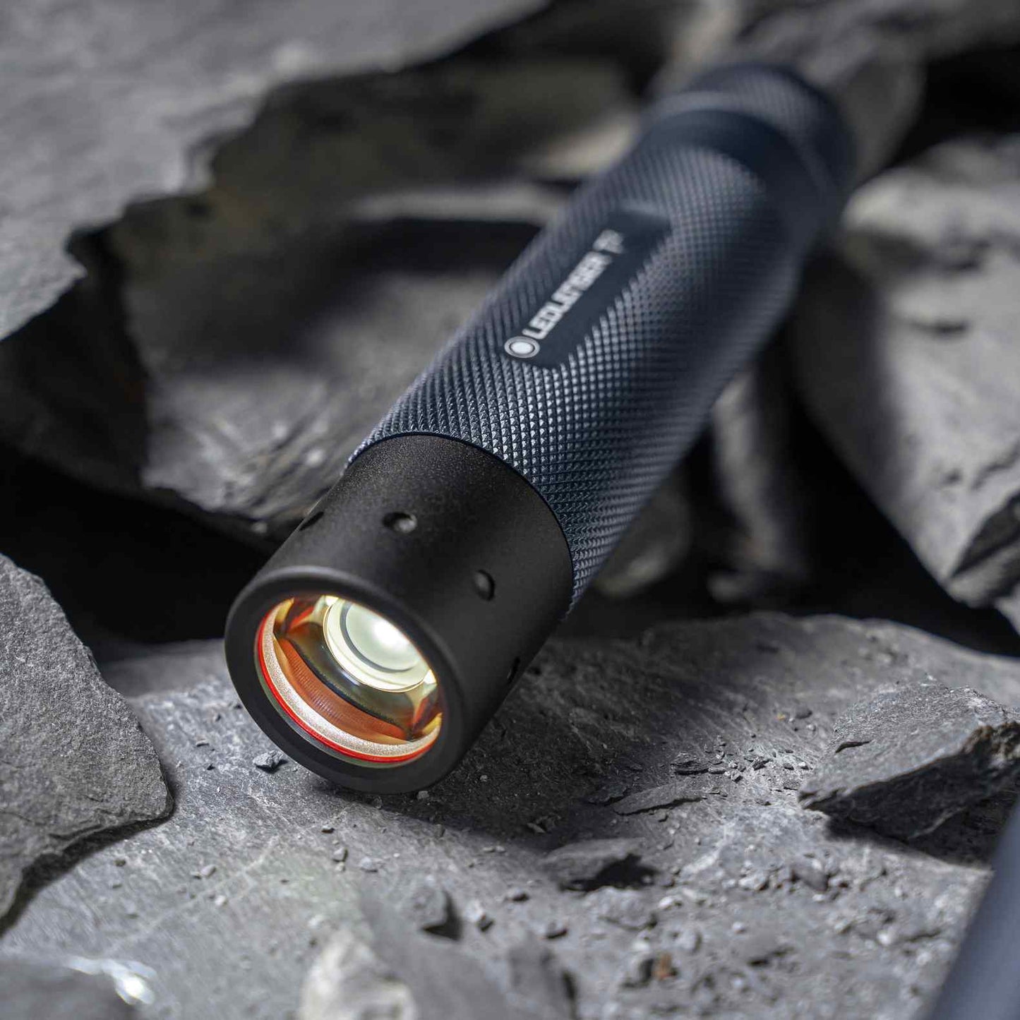 T² 25th Anniversary Edition Torch