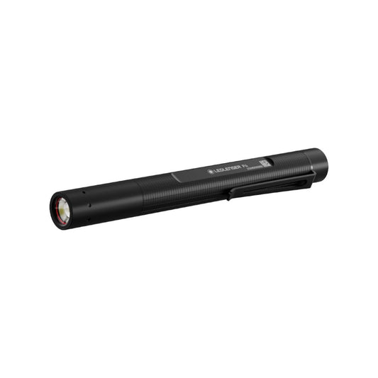 P4 Torch