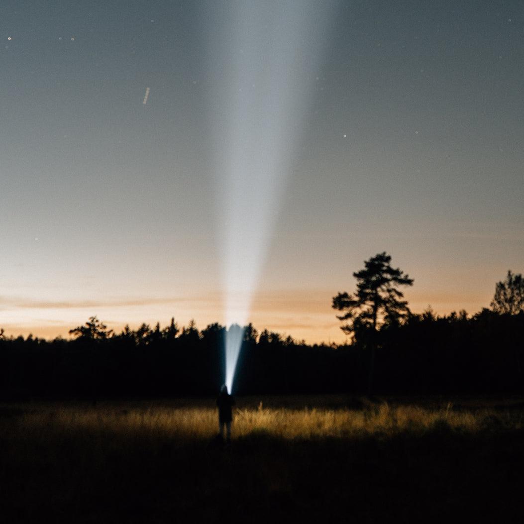 Person holding a flashlight in a dark forest at night
