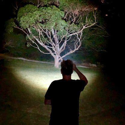 Person standing under a large tree illuminated by a spotlight at night